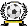 https://img.hbaomax.com/img/football/team/6dc6d59af2f0962597b412473a6708ee.png